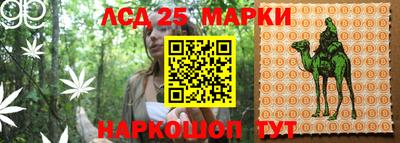 ПСИЛОЦИБИНОВЫЕ ГРИБЫ Берёзовский